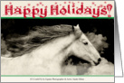 Magical Christimas card