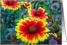 Flowers in the Fall card