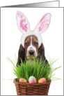 Easter Basset Hound Dog card