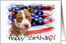 Happy Birthday Pitbull Puppy card