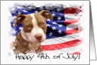 Happy 4th of July Pitbull Puppy card