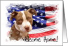 Welcome Home Pitbull dog card