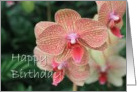Happy Birthday Orchid Flower Blooms card