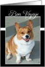 Bon Voyage Welsh Corgi dog card