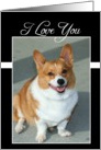 I Love You Welsh Corgi dog card