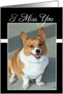 I Miss You Welsh Corgi dog card