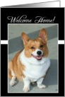 Welcome Home Welsh Corgi dog card