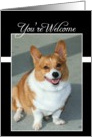 You’re Welcome Welsh Corgi dog card