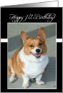 Happy 1/2 Birthday Coach Welsh Corgi dog card