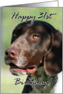 Happy 31st Birthday German Shorthaired pointer dog card