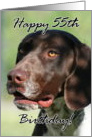 Happy 55th Birthday German Shorthaired pointer dog card