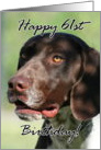 Happy 61st Birthday German Shorthaired pointer dog card
