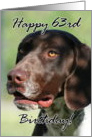 Happy 63rd Birthday German Shorthaired pointer dog card