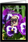 Happy Belated Birthday Pug puppy in Pansies card