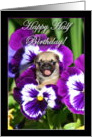 Happy Half Birthday Pug puppy in Pansies card