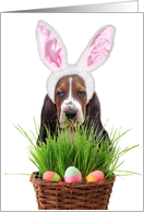 Easter Basset Hound Dog card