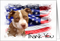 Thank You Pitbull Puppy card