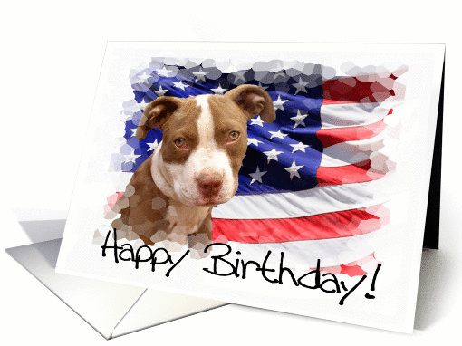Happy Birthday Pitbull Puppy card (1120056)