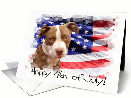 Happy 4th of July Pitbull Puppy card (1120058)