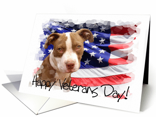 Happy Veterans Day Pitbull dog card (1208356)