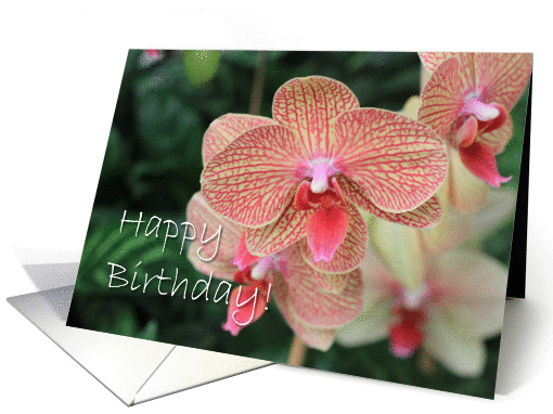Happy Birthday Orchid Flower Blooms card (1351446)