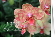 Happy Birthday Orchid Flower Blooms card