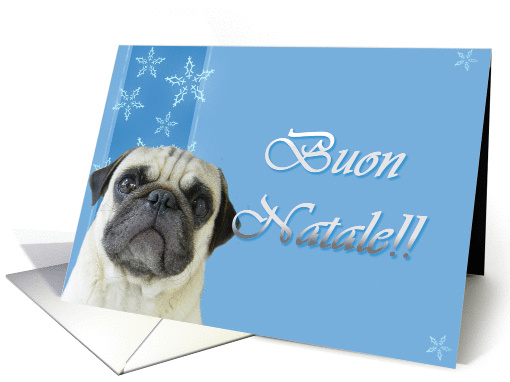 Buon Natale Pug card (322377)