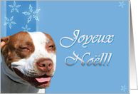 Joyeux Noel French Pitbull dog card