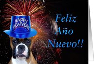 Feliz ano nuevo Boxer card