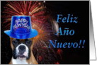 Feliz ano nuevo Boxer card