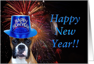 Happy New Year Boxer card