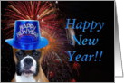 Happy New Year Boxer card