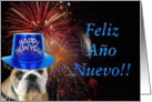 Feliz Ano Nuevo Bulldog card