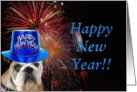 Happy New Year Bulldog card