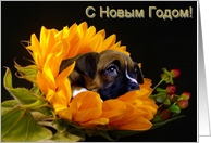 Russian Happy New Year Boxer Puppy card