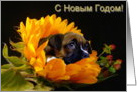 Russian Happy New Year Boxer Puppy card