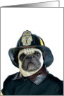 Fireman pug card