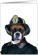 Fireman Boxer Dog card