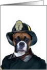 Fireman Boxer Dog card