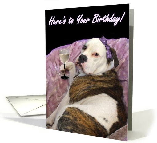 Happy Birthday Olde English bulldogge card (399077)