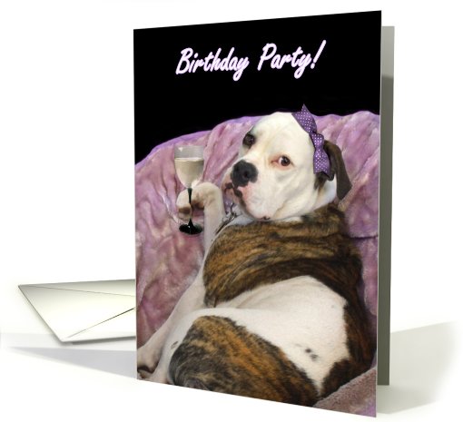 Birthday Party Olde English bulldogge card (399079)
