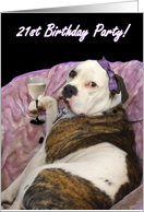 21st Birthday Party Olde English bulldogge card