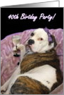 40th Birthday Party Olde English bulldogge card