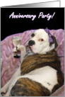 Anniversary Party Olde English bulldogge card