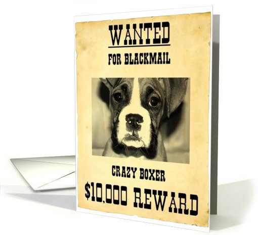 Wanted Boxer poster card (401291)