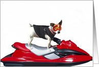 Jack Russel Terrier on a jetski card