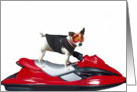 Jack Russel Terrier on a jetski card