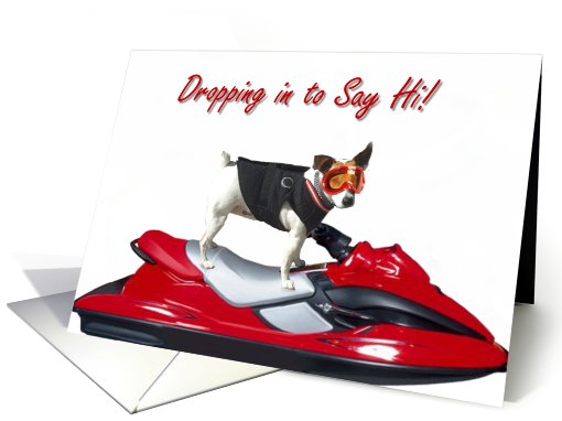 Hello Jack Russel Terrier on a jetski card (403214)
