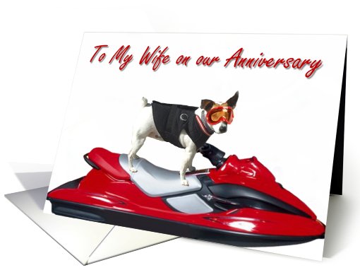 Happy Anniversary wife Jack Russel Terrier card (403451)