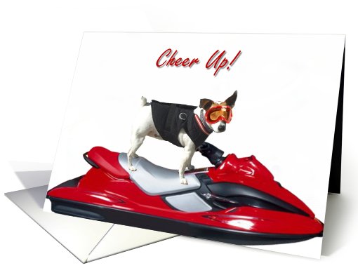 Cheer up Jack Russel Terrier card (403458)